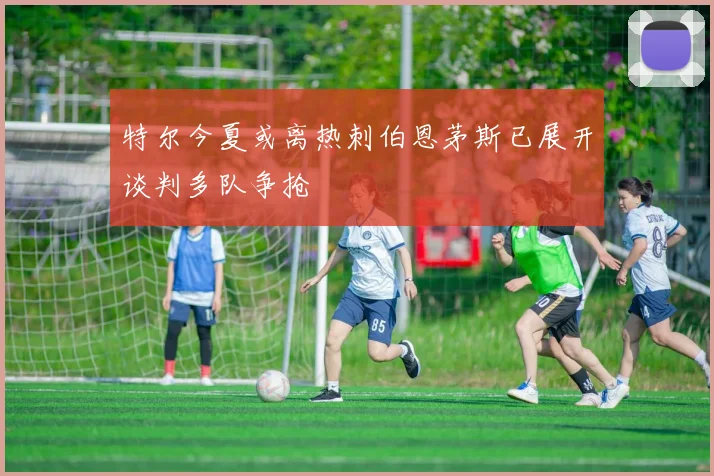特尔今夏或离热刺伯恩茅斯已展开谈判多队争抢